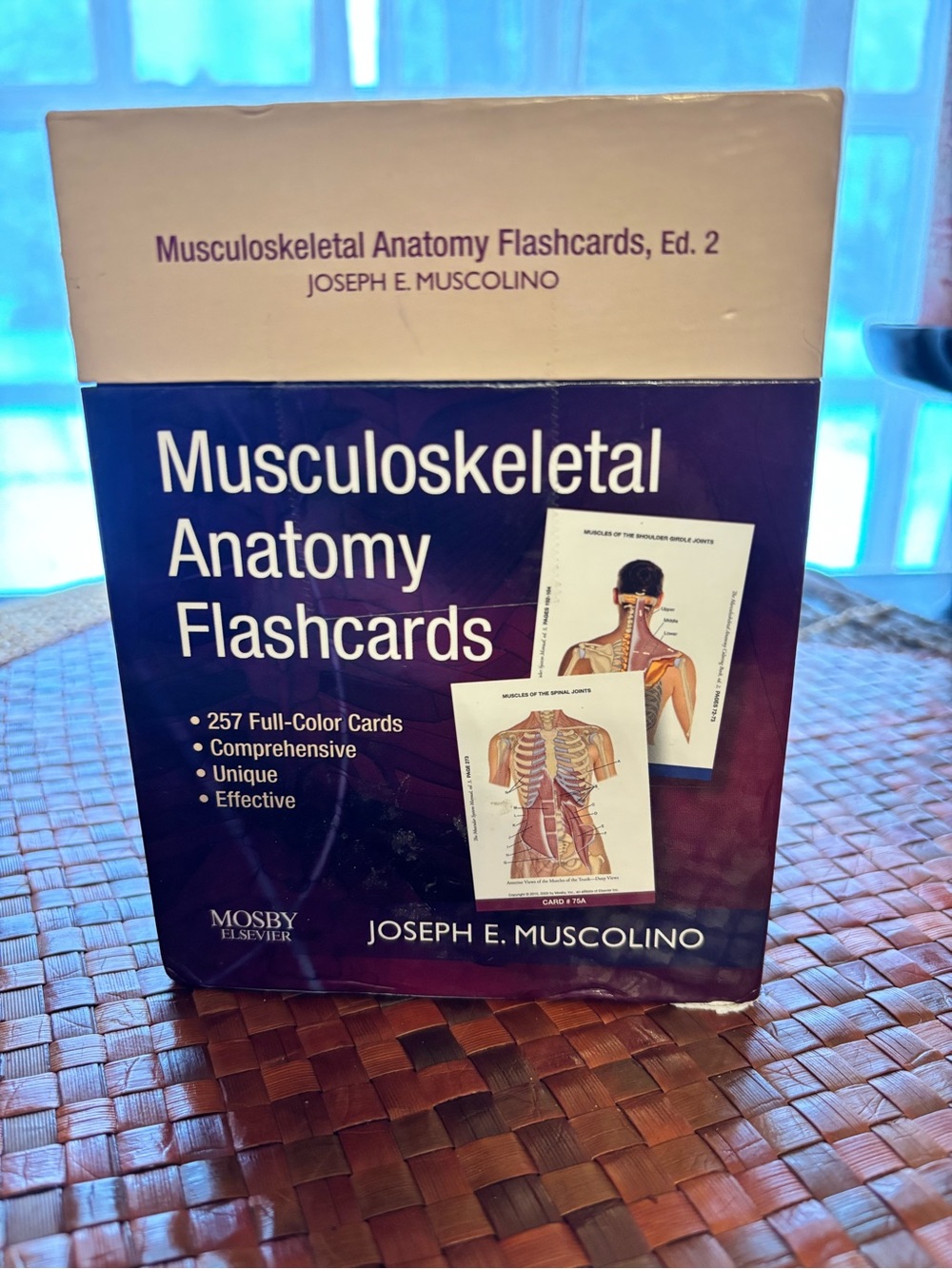 Musculoskeletal Anatomy Flashcards by Joseph E. Muscolino - new